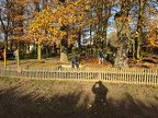2024-11-23 Backhaus Laubharkaktion Aufnahmen von Michael Hirata 013